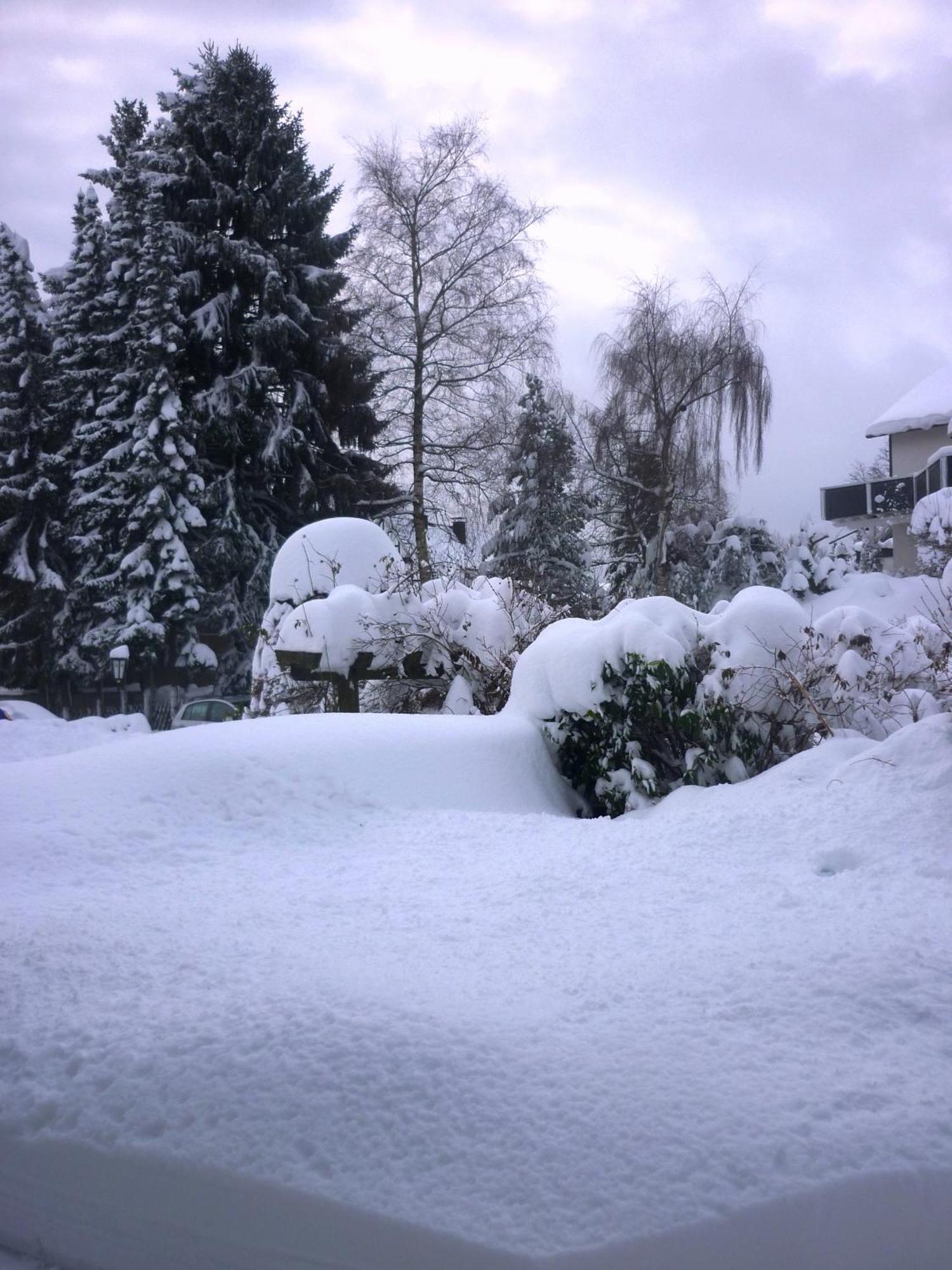 Hotel Forsthaus Winterberg Eksteriør bilde